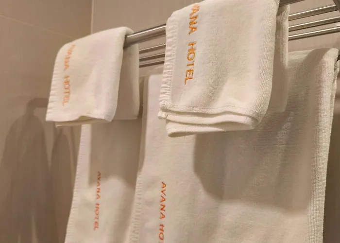Hotel Avana & Convention Centre 5*